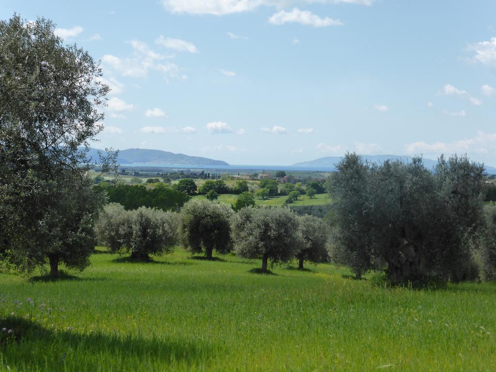 Campospillo Villa Magliano in Toscana Exterior foto