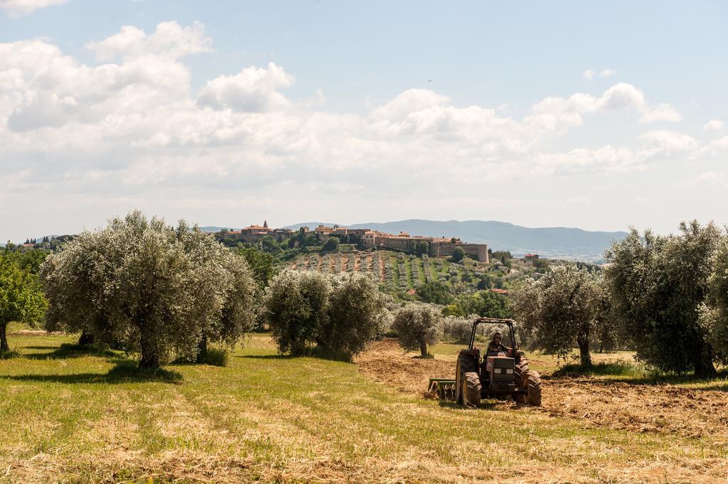 Campospillo Villa Magliano in Toscana Exterior foto